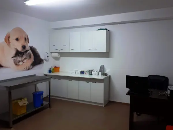 Interiorul cabinetului veterinar AdoraPet din Sector 5 București